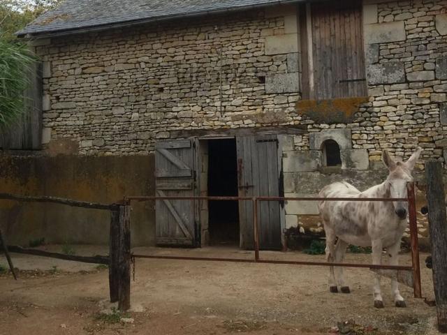 Maison, Saint Jean de Sauves