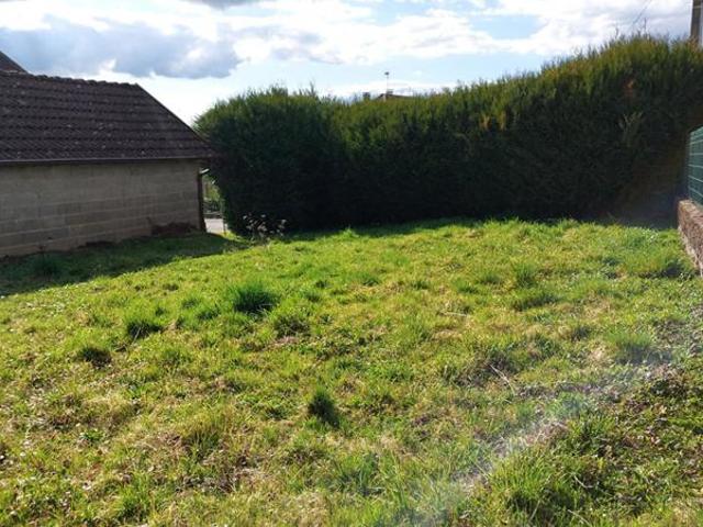 Maison Saint Loup Sur Semouse 8 pièce s 252 m2 jardin