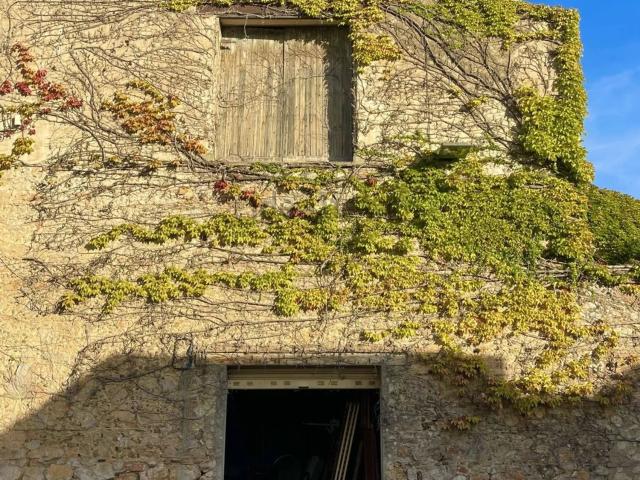 Maison, Saint Laurent de la Salanque