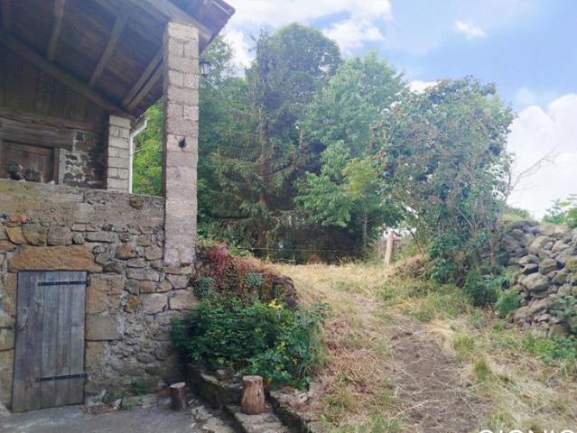 Maison Saint Paul De Tartas 2 pièce s 59 m2