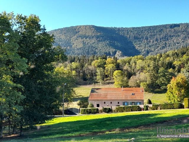 Maison, Sainte Marie aux Mines