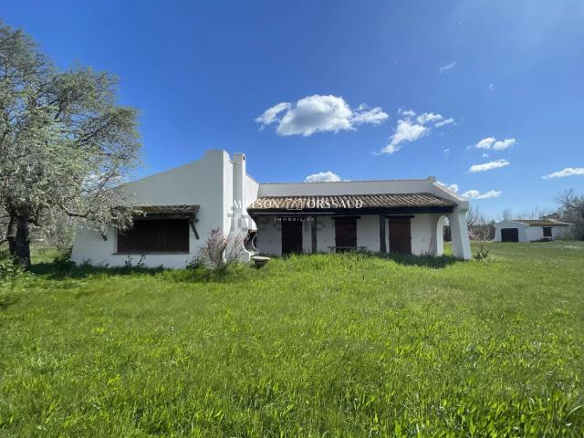 Maison, Saintes Maries de la Mer