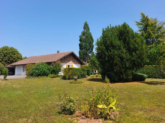 Maison, Sales