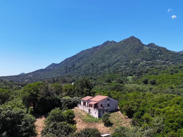 Maison, San Nicolao