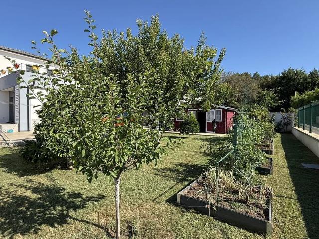 Maison, Santa Lucia di Moriani