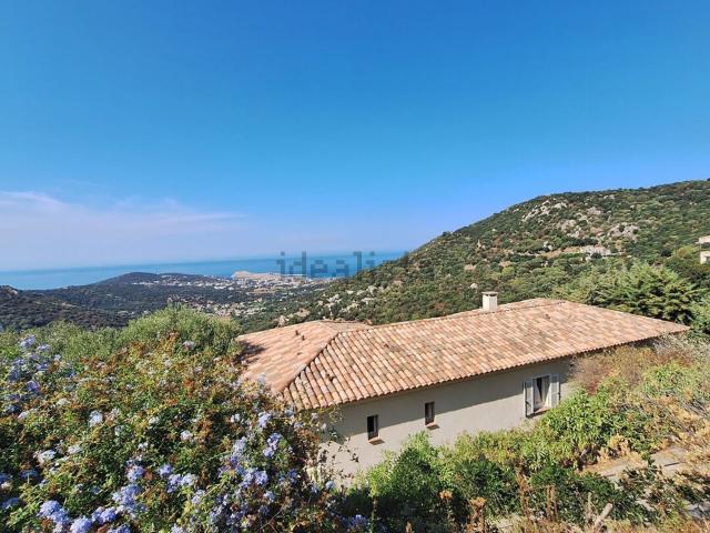 Maison, Santa Reparata di Balagna