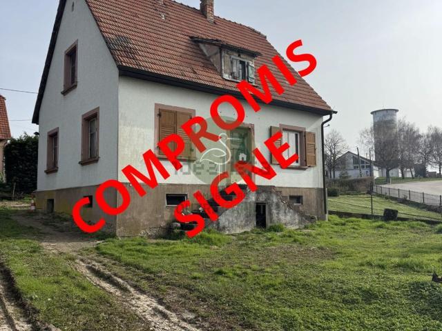 Maison, Schœnenbourg