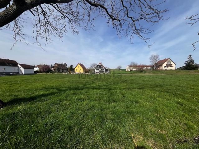 Maison, Schwenheim