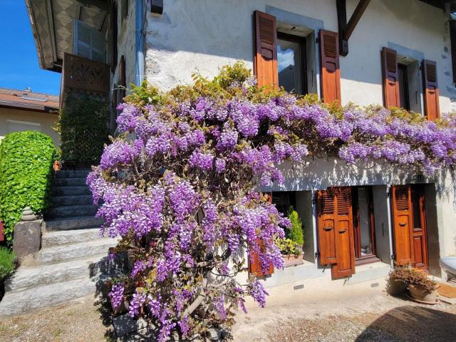 Maison, Sciez