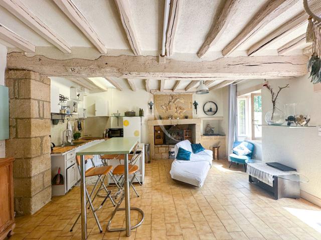Maison semi troglodytique de charme à Rochemenier 49700