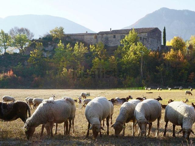 Maison, Sisteron