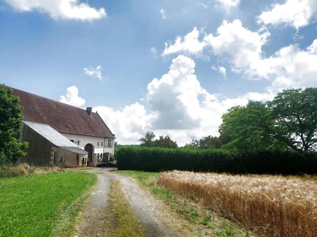 Maison Style Louis XI 330m² Courléon