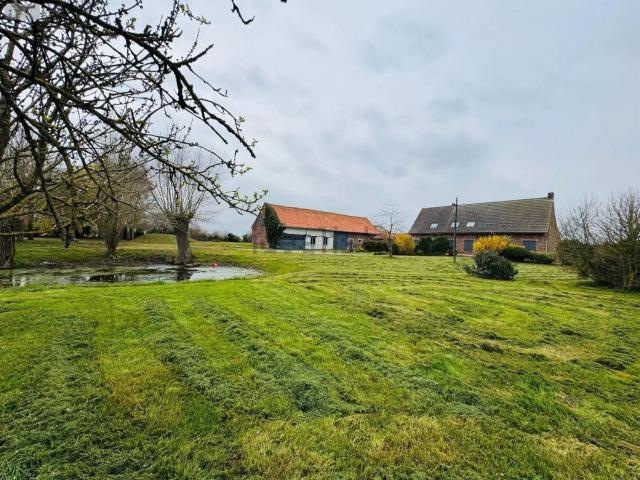 Maison, Steenvoorde
