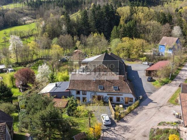 Maison, Steige