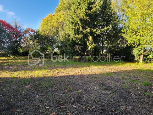 Maison avec beau parc plat bien arboré de + 2 500 m² – Calme absolu et potentiel chais en pierre attenant et grand hangar à tabac