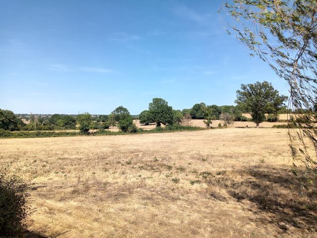 Maison sur 1.3 hectare sans voisins !