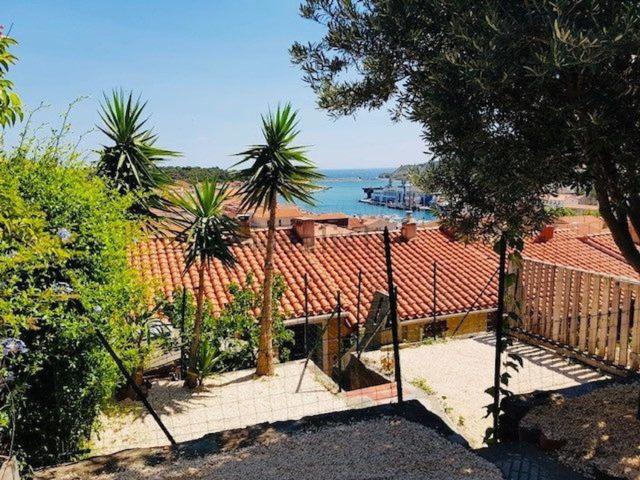 Maison, Port Vendres