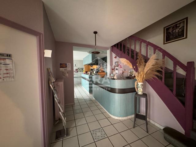 Maison Port Sur Saone 11 pièce s 380 m2