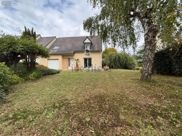 Maison, Pacé