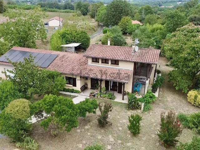 Maison, Panjas