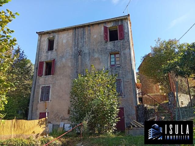 Maison, Pastricciola