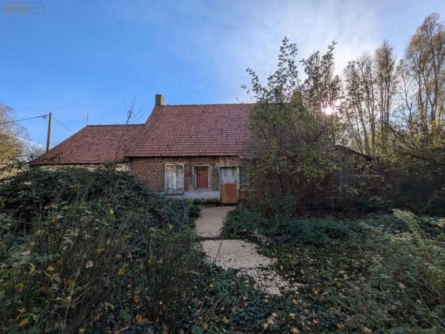 Maison, Pitgam