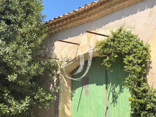 Maison, Pignan