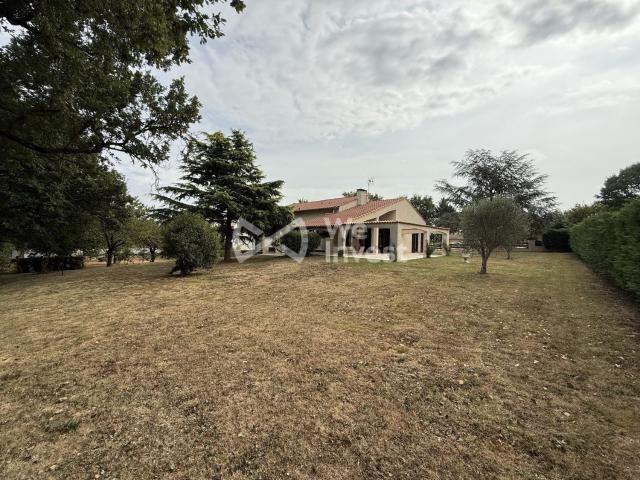 Maison, Pin Balma