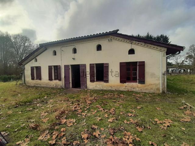 Maison, Pissos