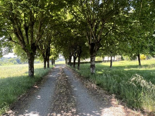 Maison plus appartement sur 5000 m2 de terrain