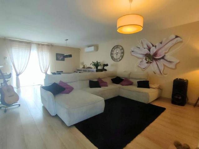 Maison plain pied avec piscine et jardin
