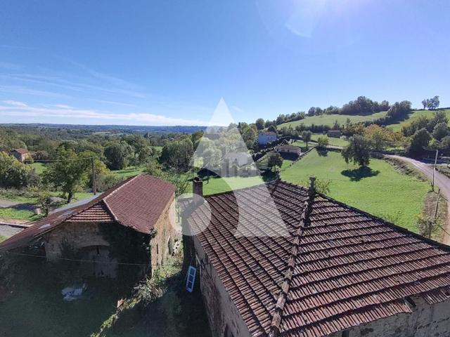 Maison, Planioles