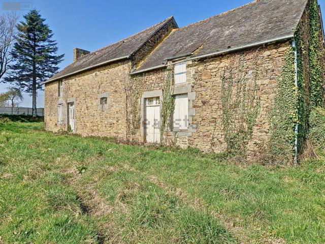 Maison, Plerguer