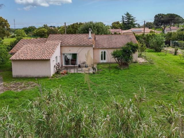Maison, Prunelli di Fiumorbo
