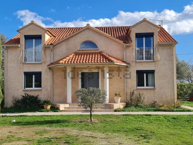 Maison, Prunelli di Fiumorbo
