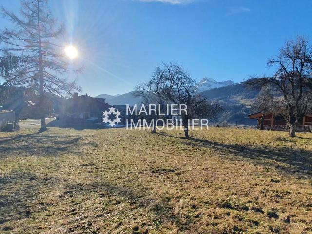 Maison, Praz sur Arly