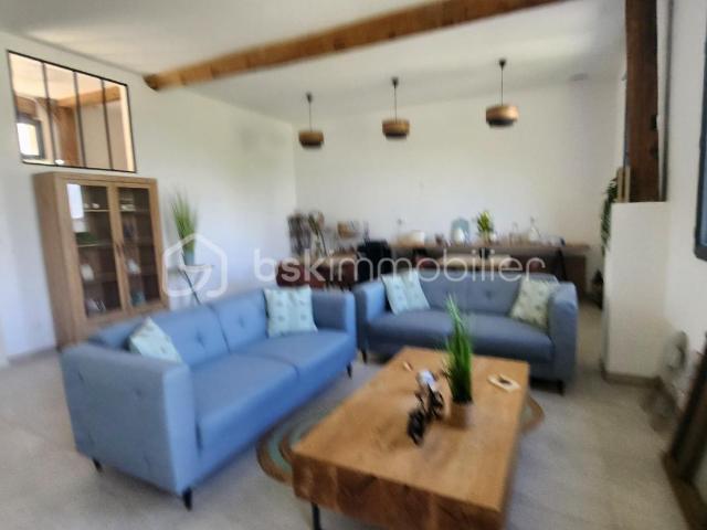 Maison Principale + Gîtes avec Spa et Piscine