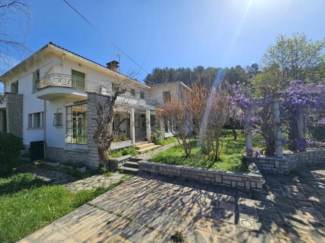 Maison, Quillan