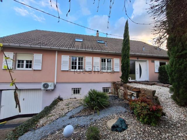 Maison, Rott