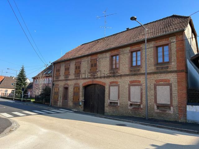 Maison, Rott