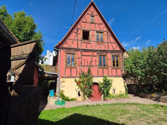 Maison, Rott