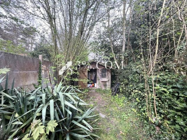 Maison, Roncq