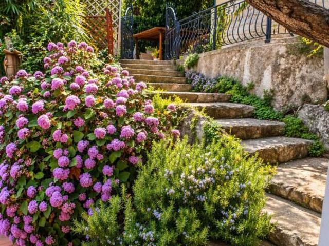 Maison, Roquebrune Cap Martin