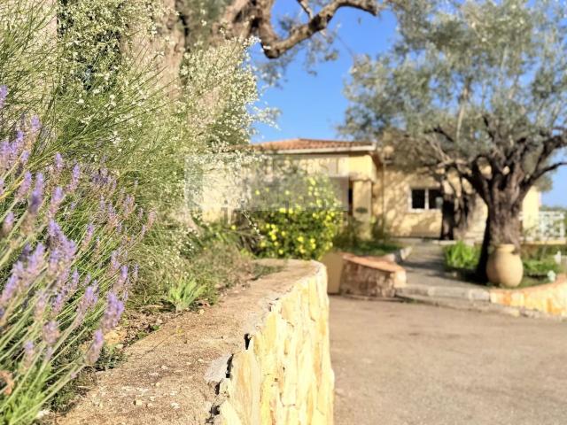 Maison, Roquebrune Cap Martin