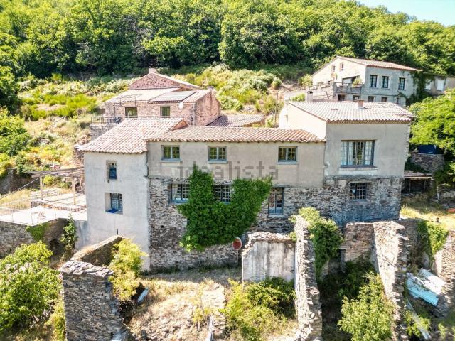 Maison, Rosis