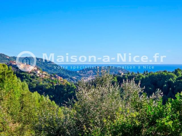Maison RDC 329 m2