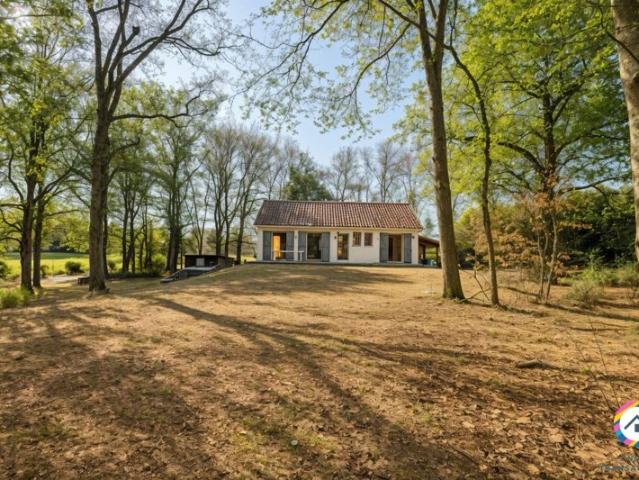 Maison Rénovée 155m² Montmerle sur Saone 525 000€