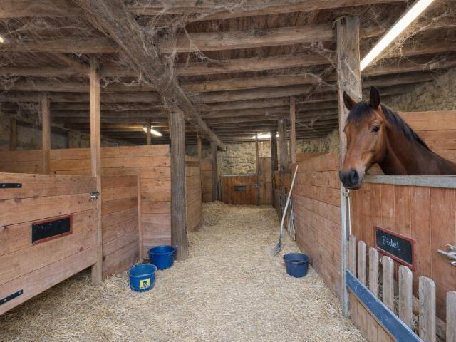 Maison rénovée, dépendances, écuries, carrière 1,9 ha de terrain