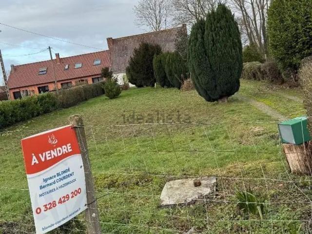 Maison, Wallon Cappel