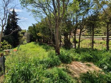 Maison T4 sur Terrain Sud de 700m² piscinable + garage